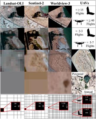 UAVs for improving seasonal vegetation assessment in arid environments